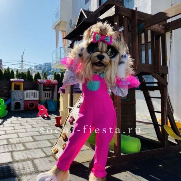 Аниматор Гламурная Собака в Барнауле