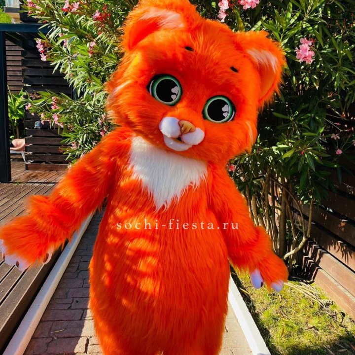 Аниматор Котик в Барнауле