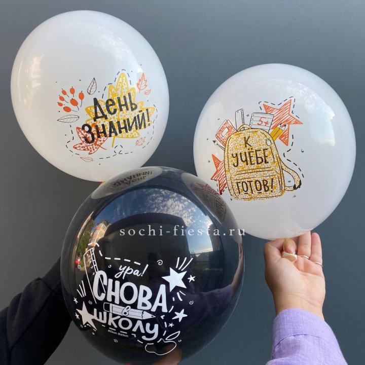 Воздушный шар к 1 сентября в Барнауле