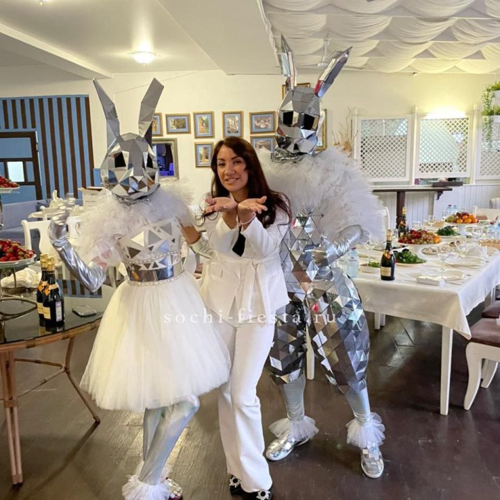 Аниматор Зеркальный заяц в Барнауле