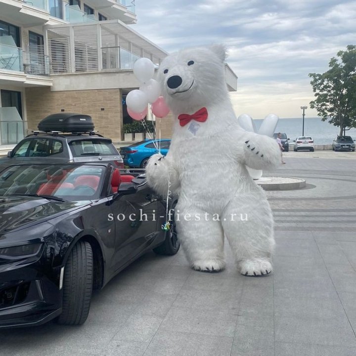 Аниматор Белый Медведь в Барнауле