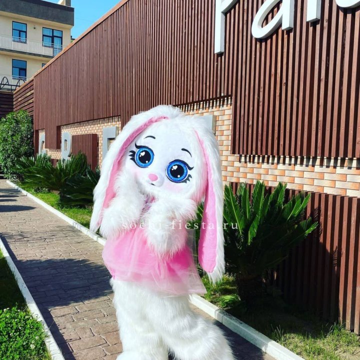 Аниматор Зайка в Барнауле