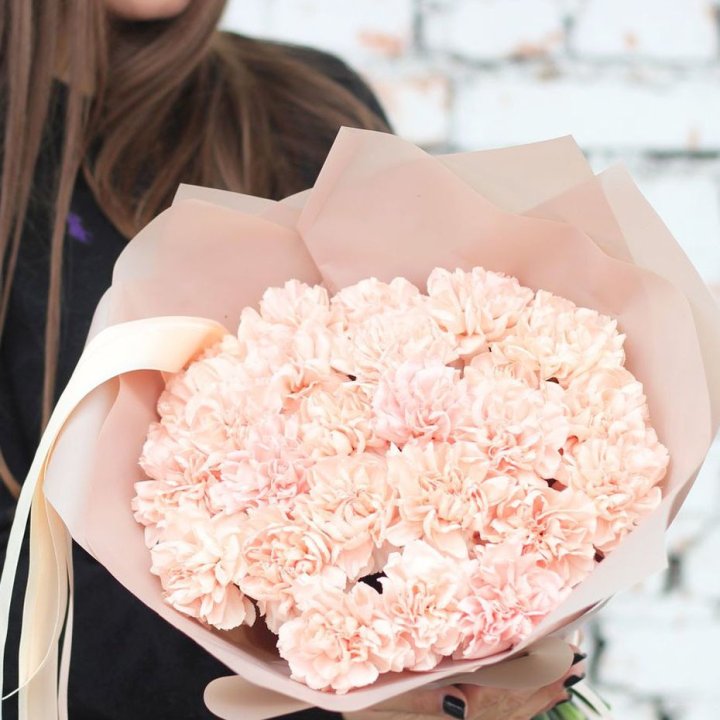 Диантусы №2 в Барнауле