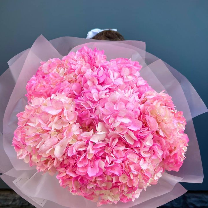 9 ярко розовых гортензий в Барнауле