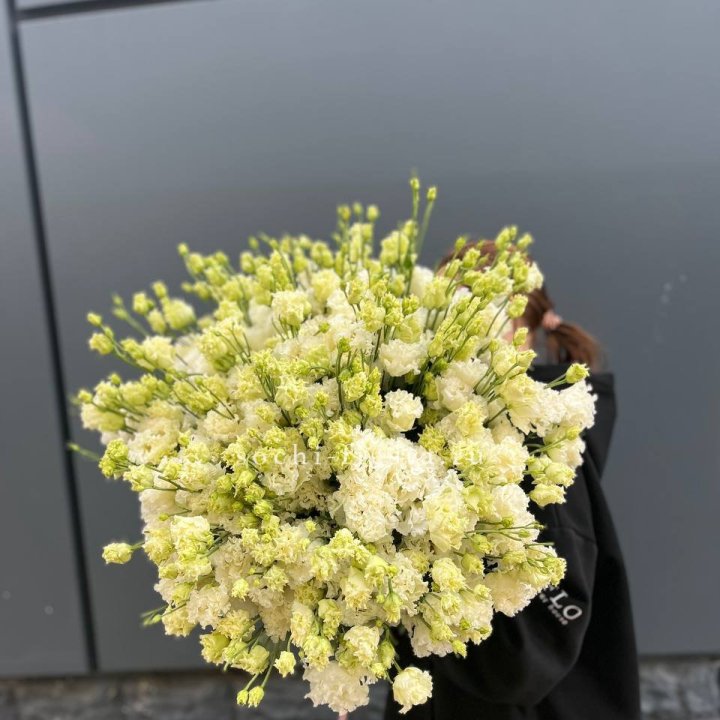 51 белая эустома в Барнауле