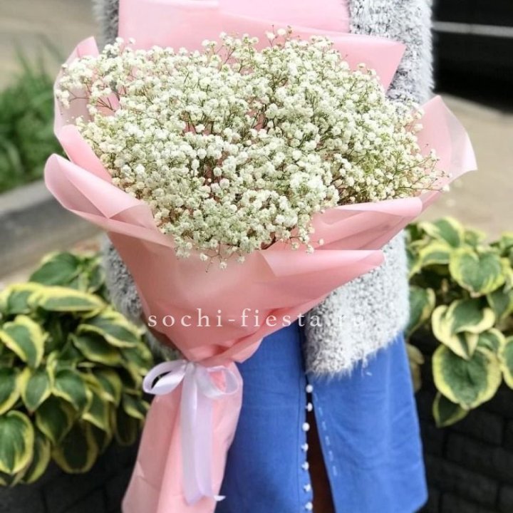 Белоснежные гипсофилы в Барнауле