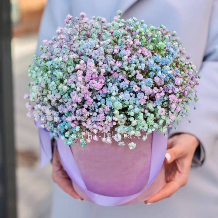 Гипсофилы в шляпной коробке "Кандилайт" в Барнауле