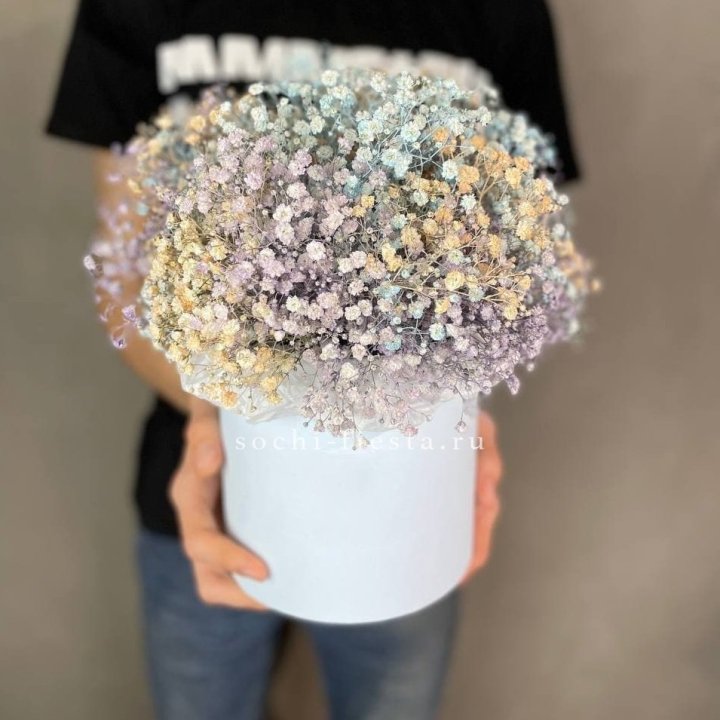 9 Радужных гипсофил в шляпной коробке в Барнауле