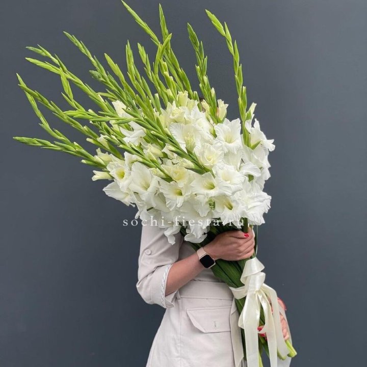 19 белых гладиолусов под ленту в Барнауле