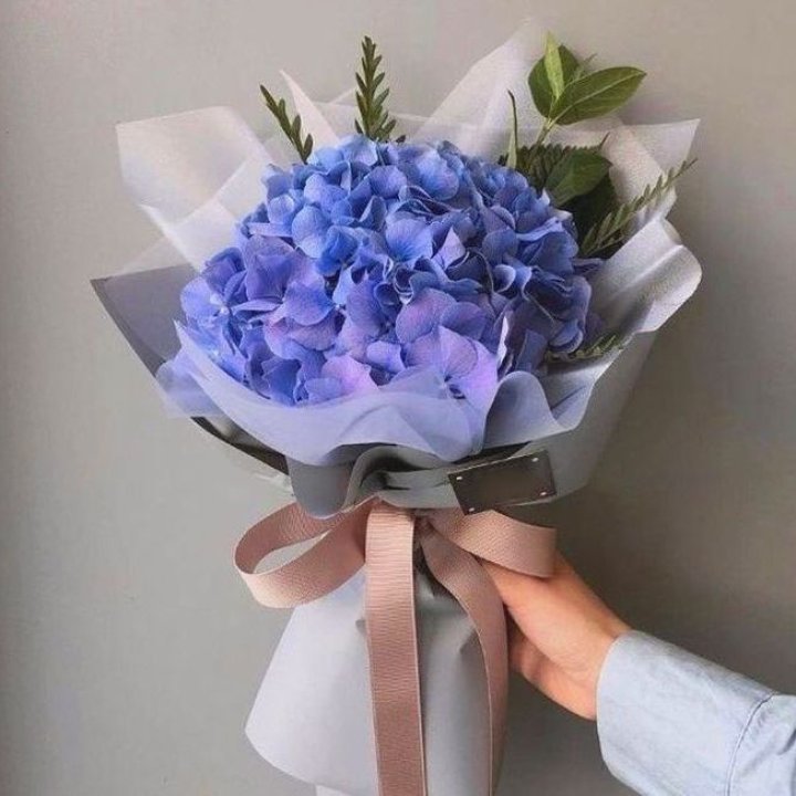 Гортензия голубая в Барнауле