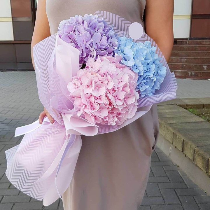 Букет гортензий "Пуф" в Барнауле