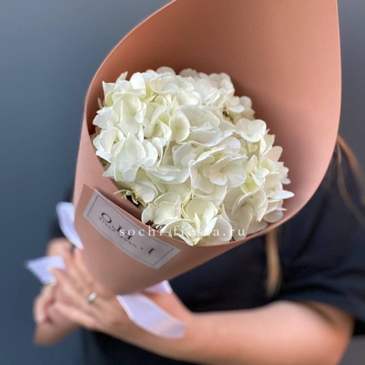 Гортензия в конверте в Барнауле