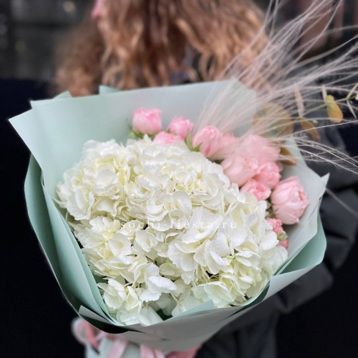 Гортензия "Жасмин" в Барнауле