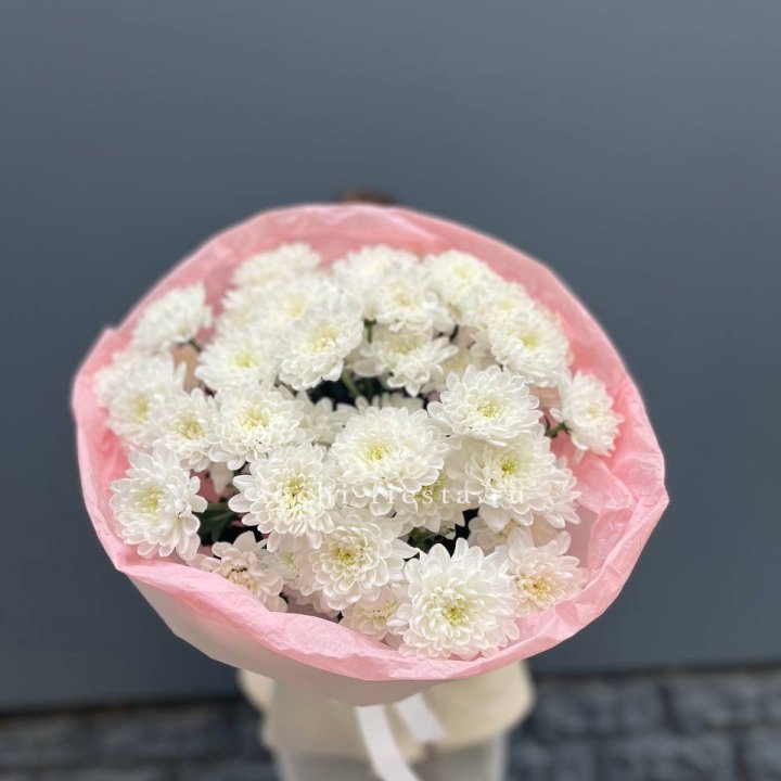  5 хризантем  в Барнауле