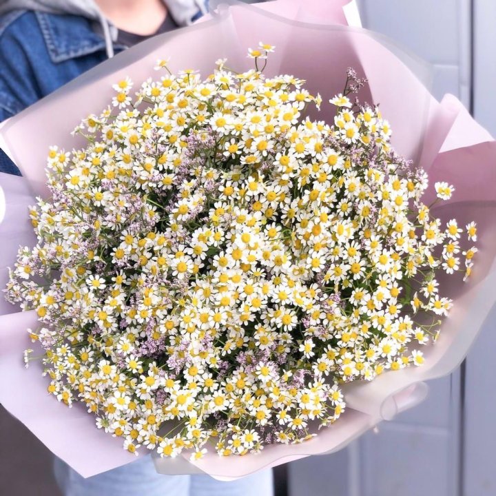 Букет ромашек №1 в Барнауле