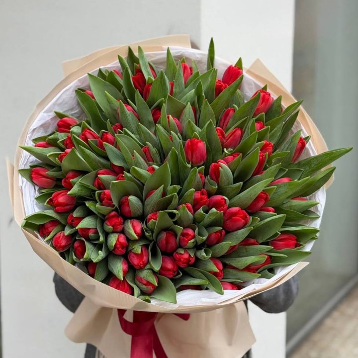 101 красный тюльпан в Барнауле