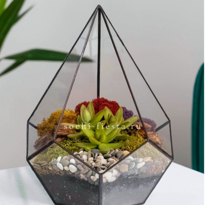 Флорариум Капля с суккулентом в Барнауле