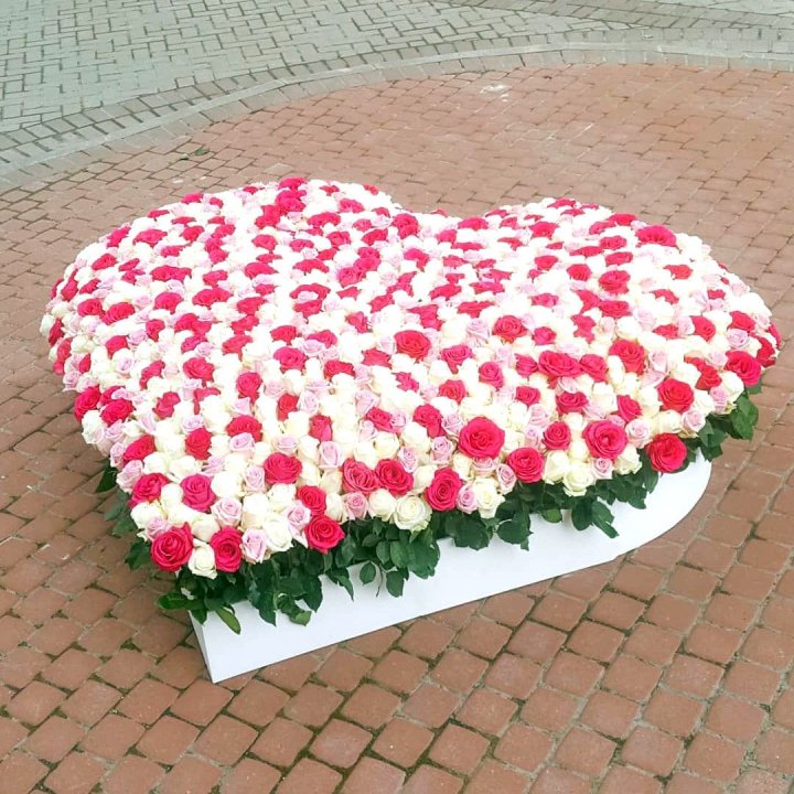 555 роза  в Барнауле