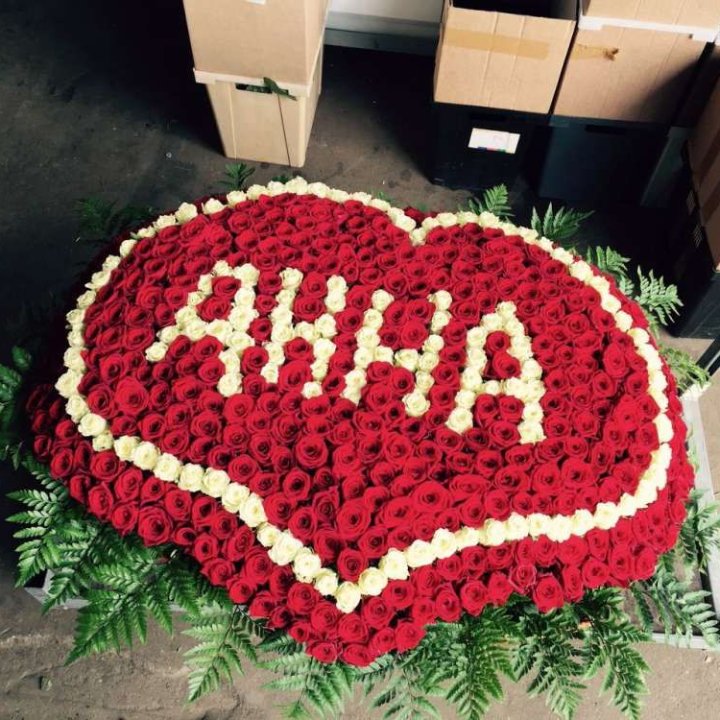 555 роз с именем в Барнауле