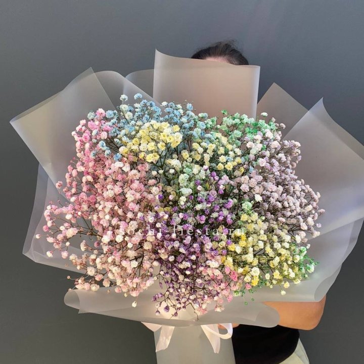 Радужные гипсофилы  в Барнауле