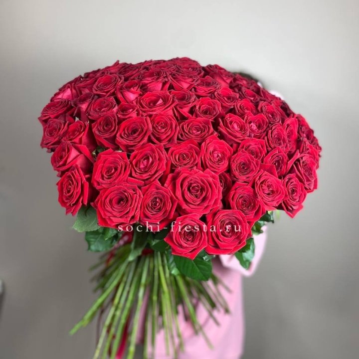 101  голландская роза  в Барнауле