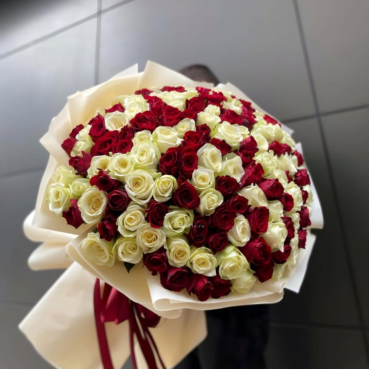 101 высокая импортная роза  в Барнауле