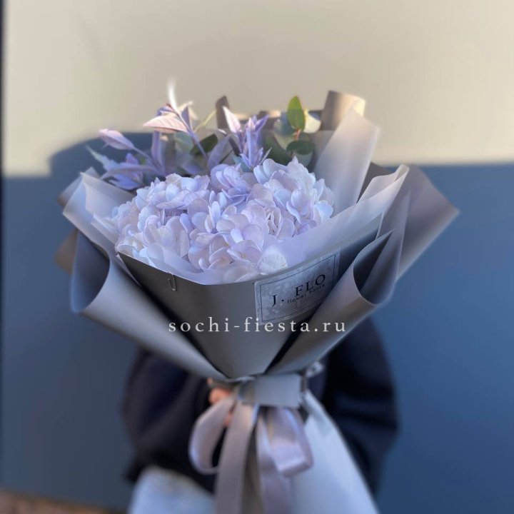 Гортензия "Виолета" в Барнауле
