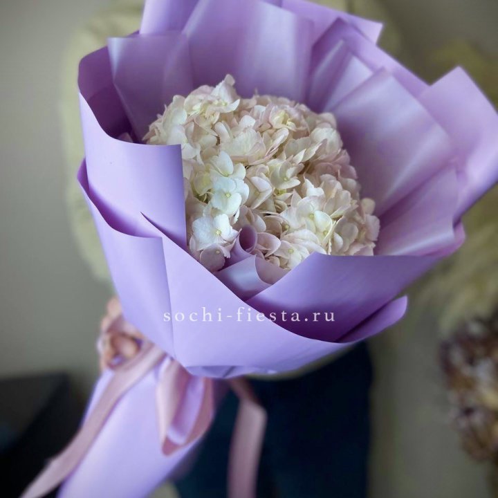 Гортензия розовая в Барнауле