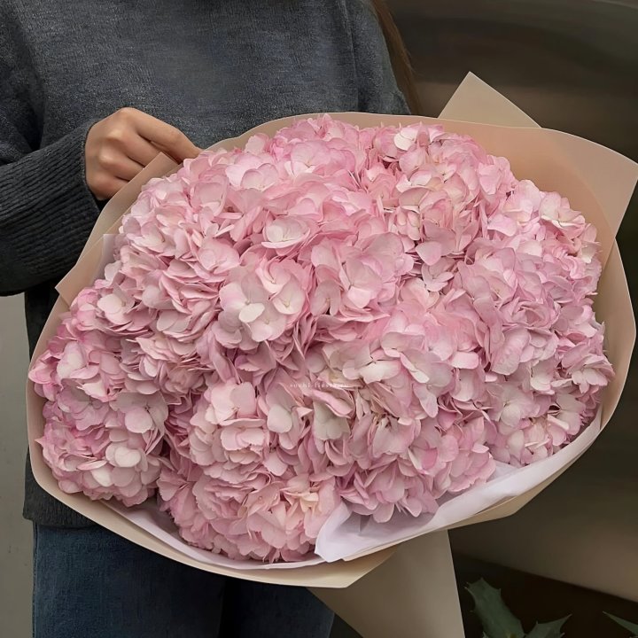 Гортензия  "РОЗЕ" в Барнауле