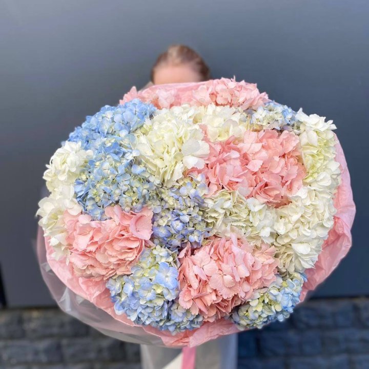 19 гортензий микс в Барнауле