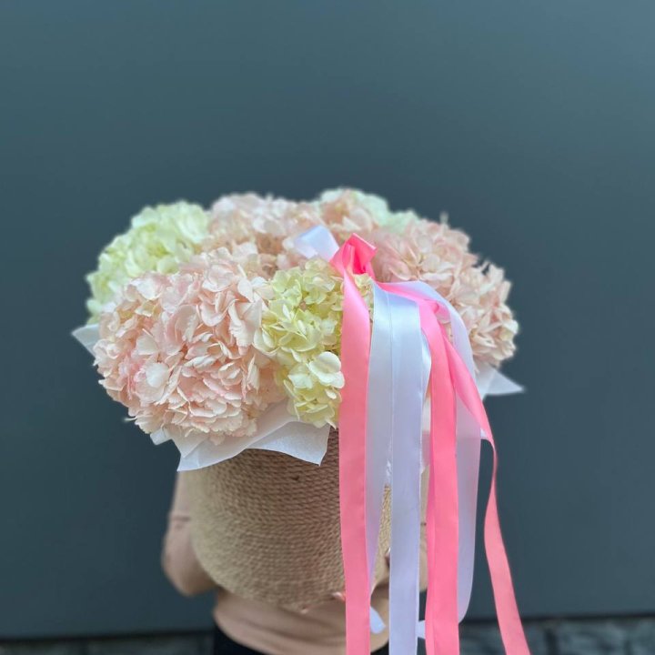 7 гортензий в кашпо в Барнауле