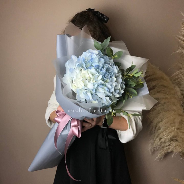 Гортензия Уно в Барнауле