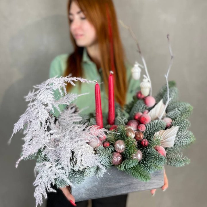 Бокс красный с нобилисом в Барнауле