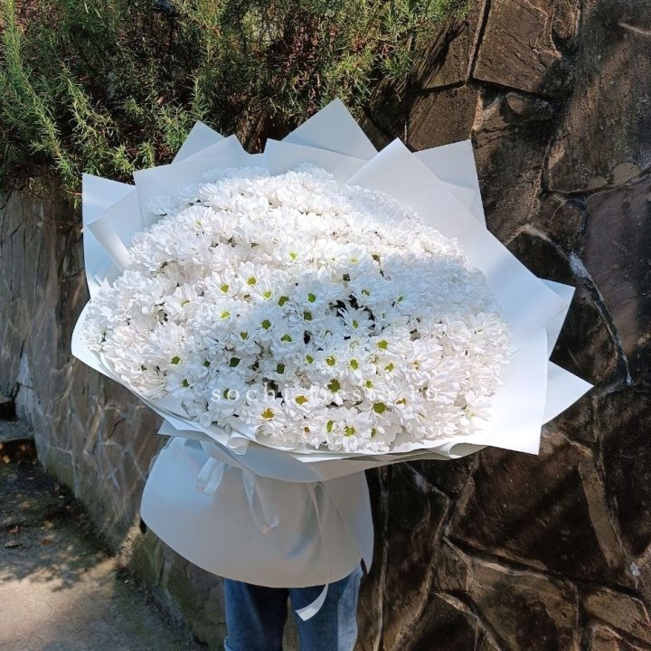 Облако хризантем №2 в Барнауле