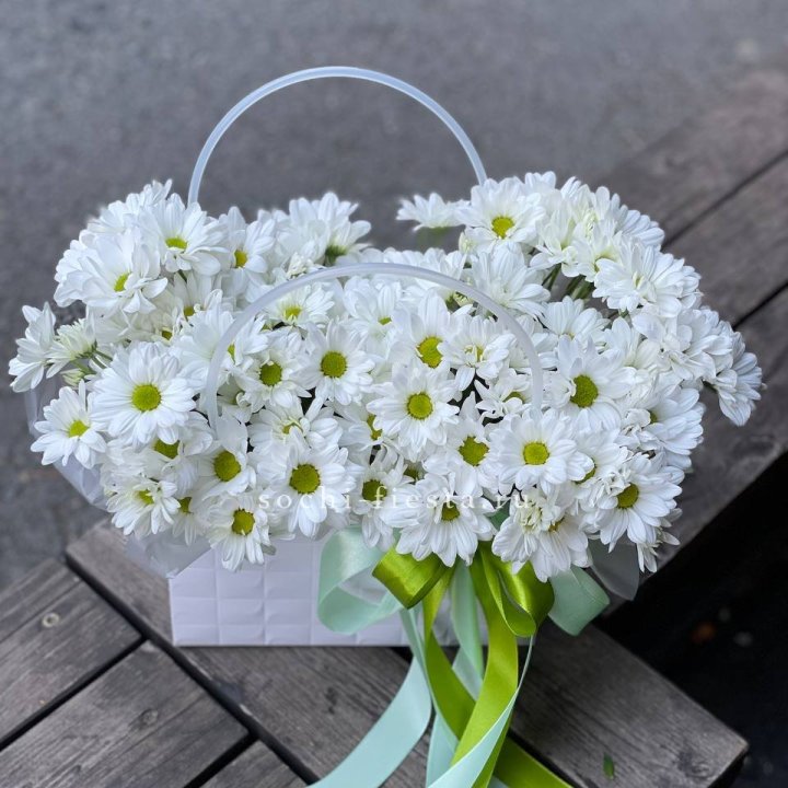 Сумка с хризантемами ромашками в Барнауле