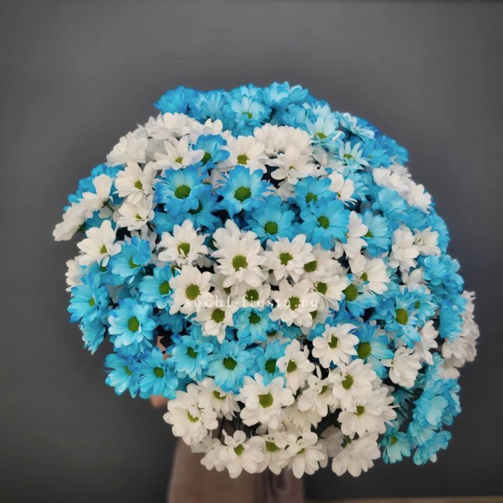  Букет хризантем микс в Барнауле