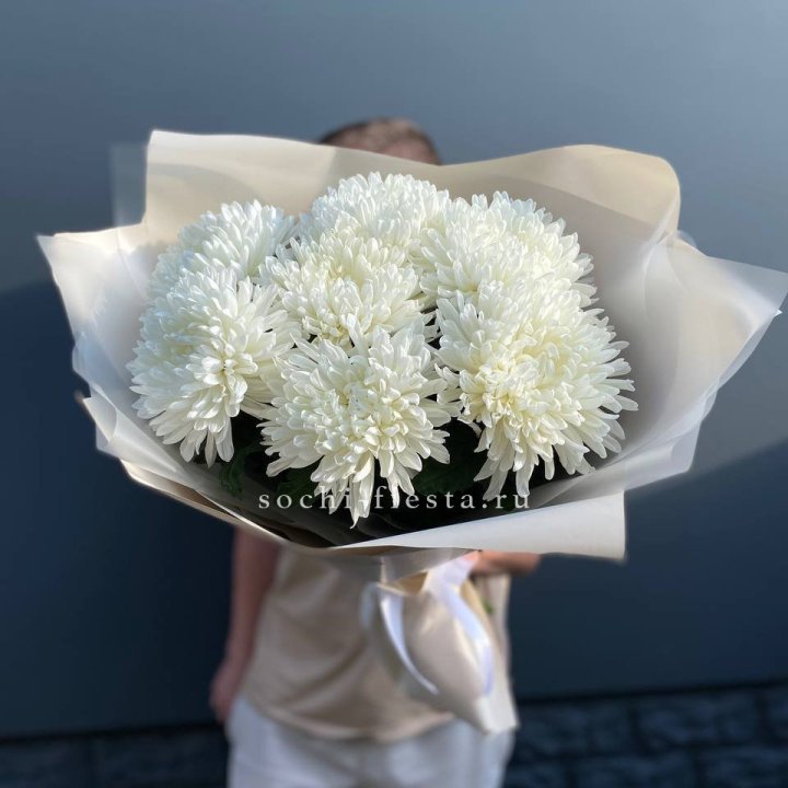 Профитроли в Барнауле