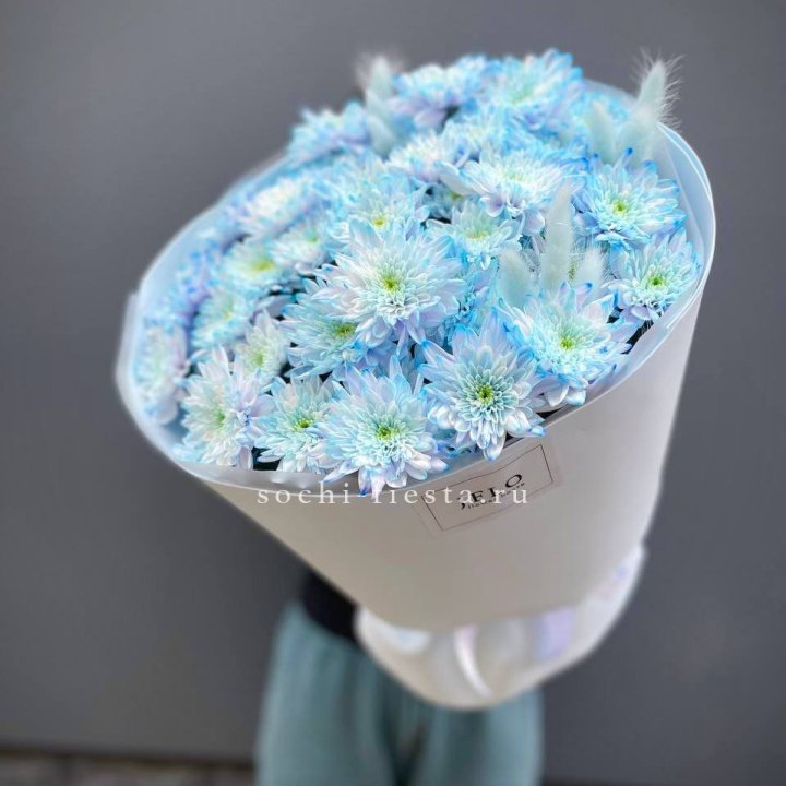  Букет нежно-голубых хризантем  в Барнауле