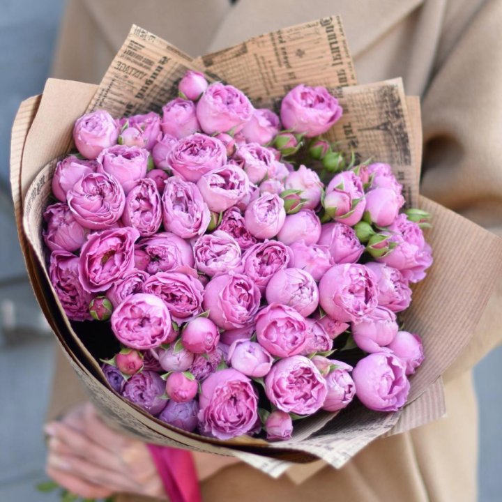 Роза Мисти Баблс в Барнауле