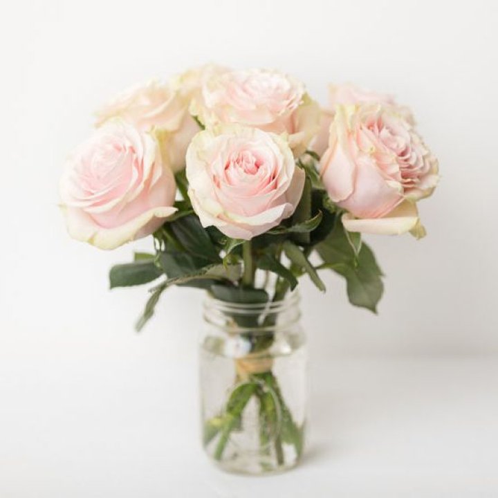 7 кремовых роз в Барнауле