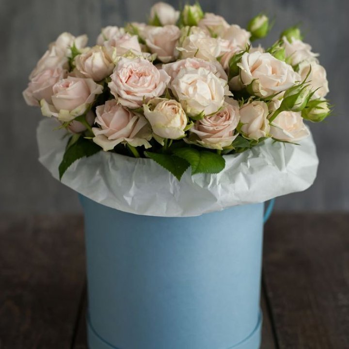 Бокс с бомбастиком в Барнауле