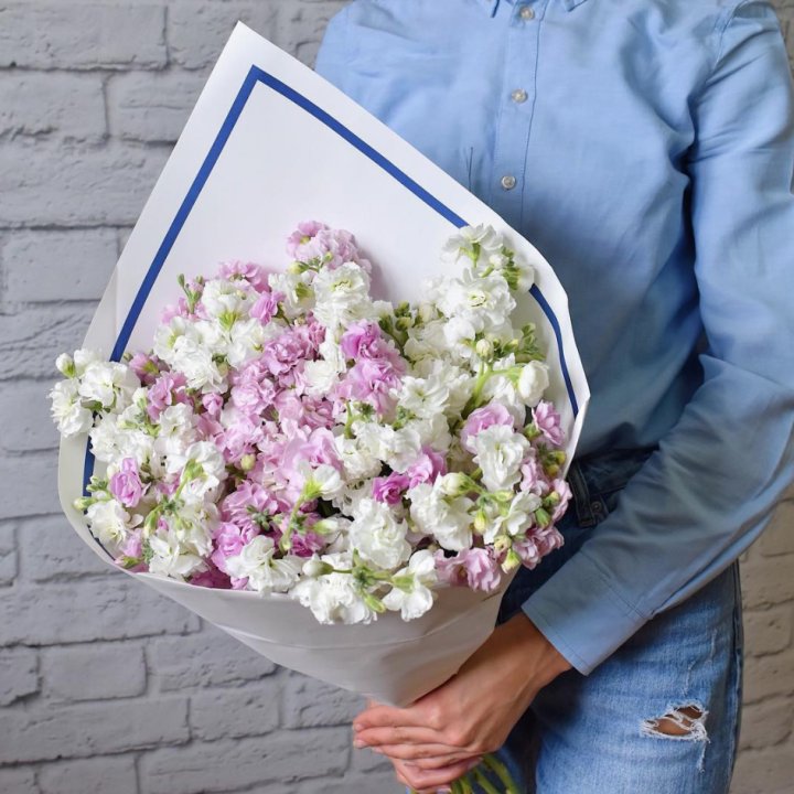 Маттиола в Барнауле