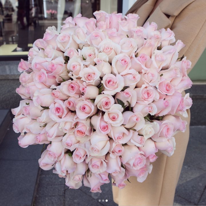 Розы "Пинк бум" в Барнауле