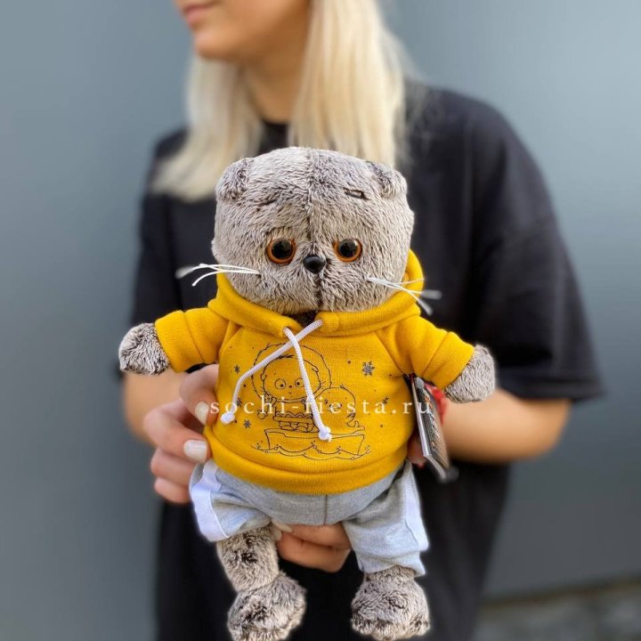 Кот Басик в худи в Барнауле