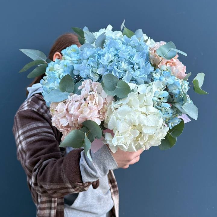 Гортензии в коробочке в Барнауле