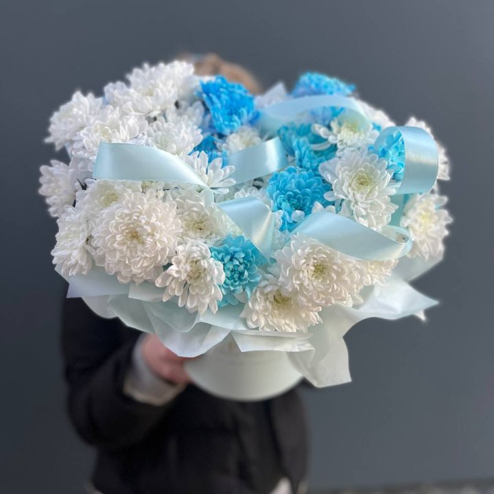 Хризнтемы в боксе в Барнауле