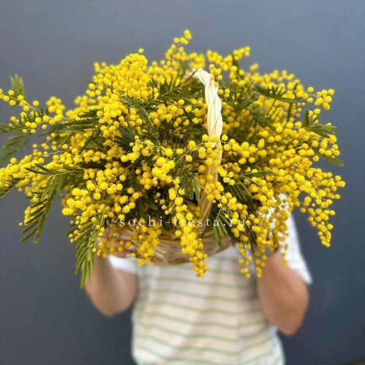 Весенняя корзина мимозы в Барнауле