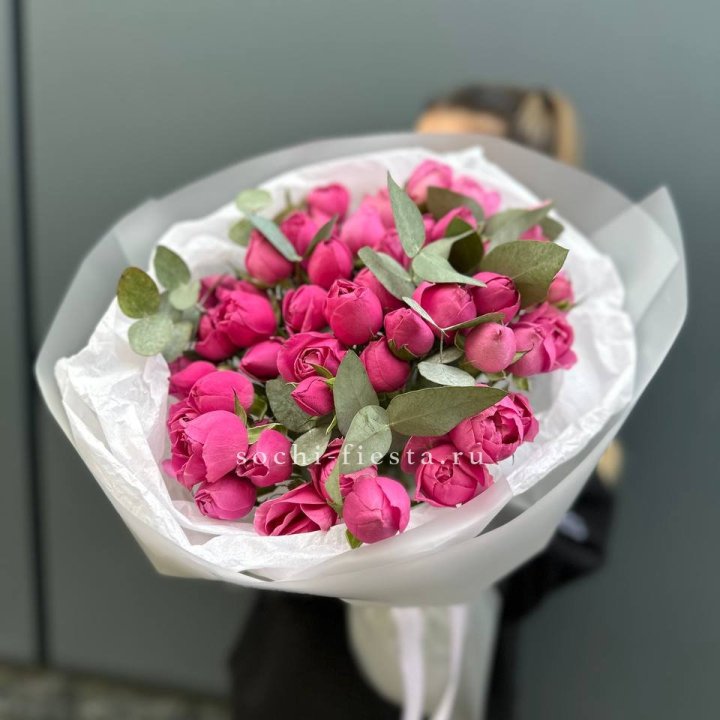 17 Мисти бабблс в Барнауле