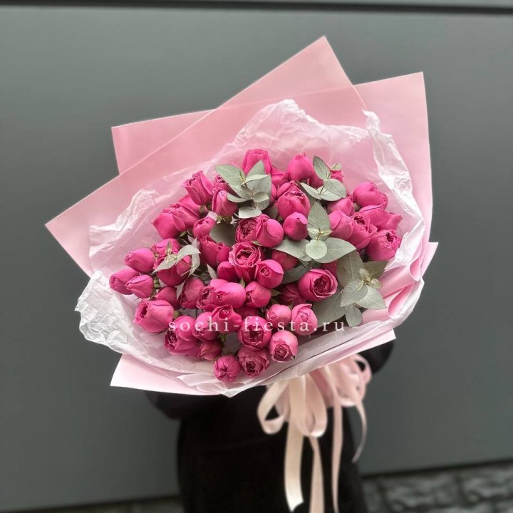 25 Мисти бабблс в Барнауле