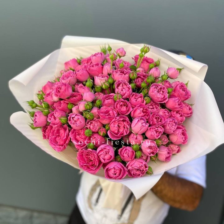 Мисти Баблс 35шт в Барнауле